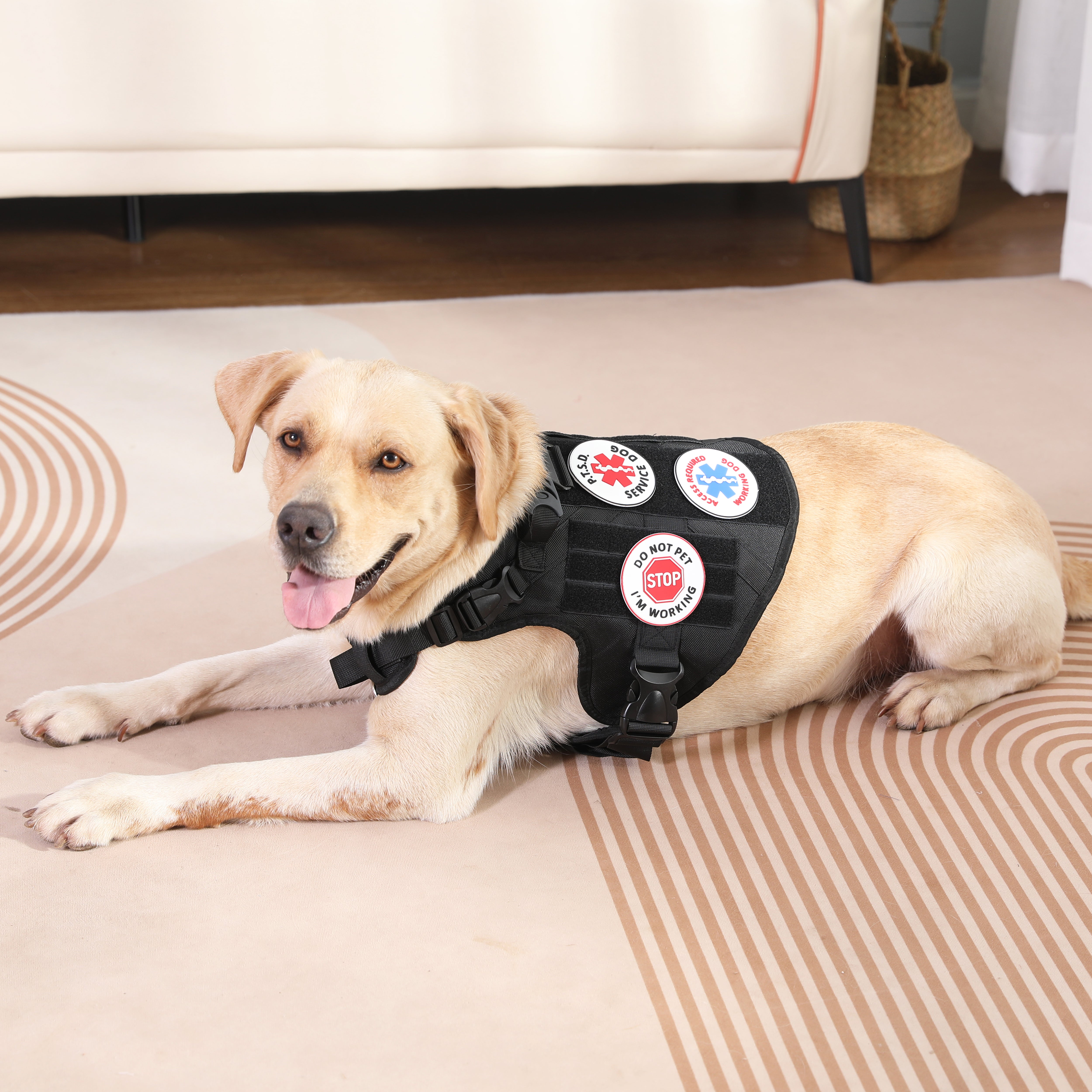 Service Dog Therapy DO NOT PET In Training Emotional Support Hook
